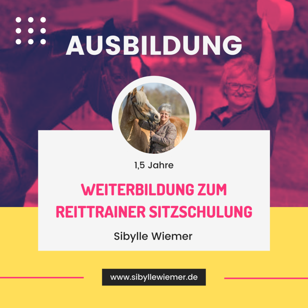 Pferdemädchen Podcast Empfehlung Weiterbildung Reittrainer Sitzschulung Sibylle Wiemer
